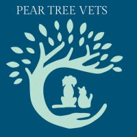 Pear Tree Vets