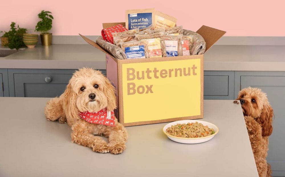 Butternut box for dogs best sale